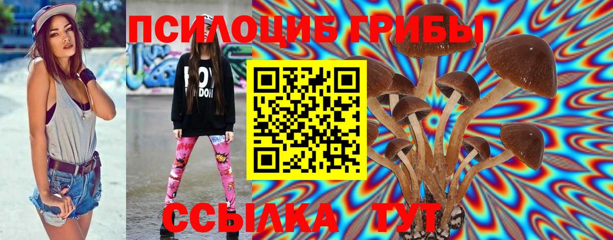 Псилоцибиновые грибы MAGIC MUSHROOMS Клинцы