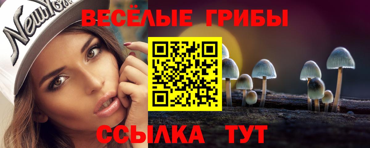 Клинцы  Галлюциногенные грибы GOLDEN TEACHER  Вход с VPN  Галлюциногенные грибы Magic Shrooms 
